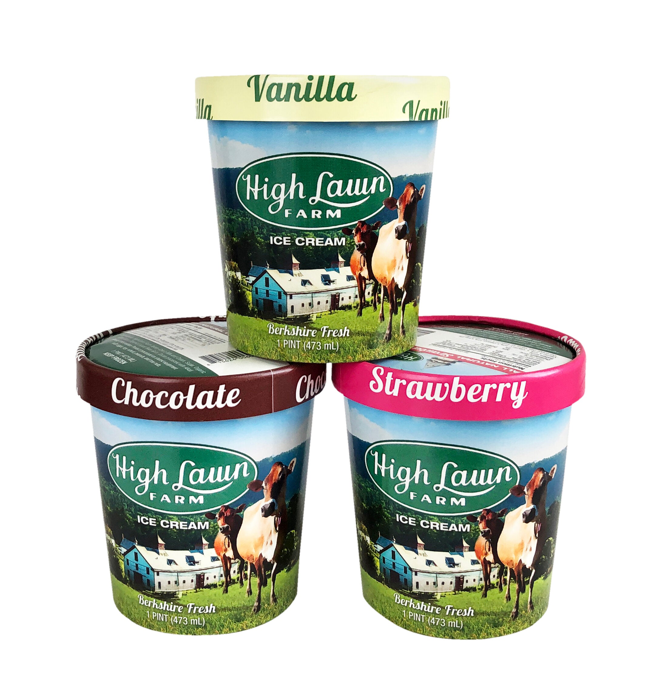 Premium Ice Cream | PINTS